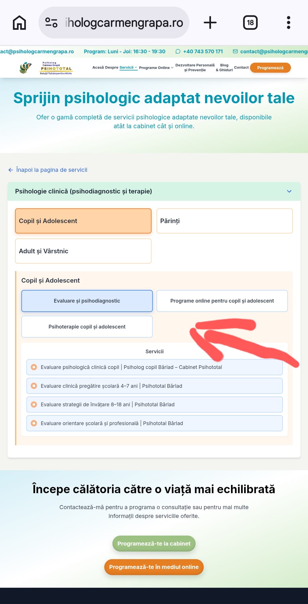 Selectare subcategorie programe online